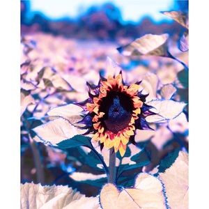 Meet your Posher, Maritza